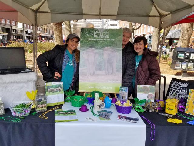 Elephant Sanctuary Volunteers Giving a Presentation