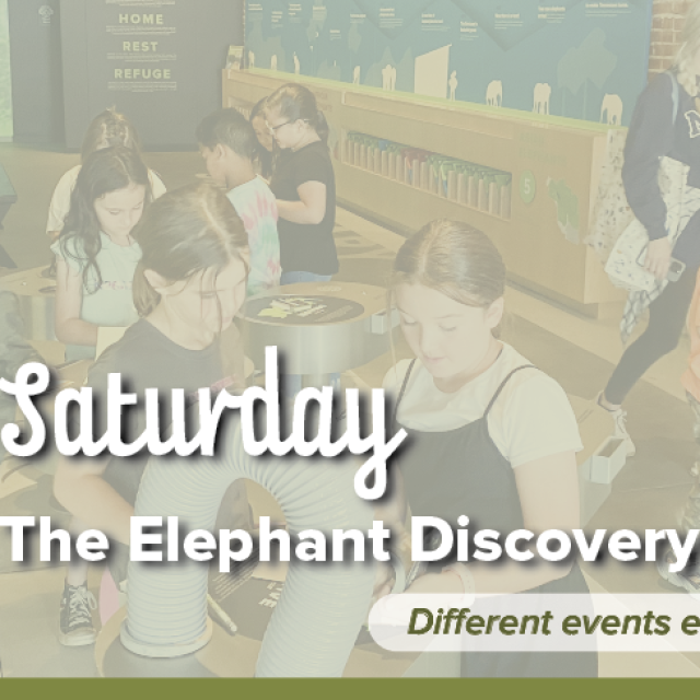 Third Saturday: Meet Elephant Care Staff