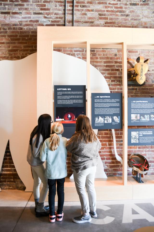 Students at Elephant Discovery Center Students Watching a Video about The Circus at Elephant Discovery Center