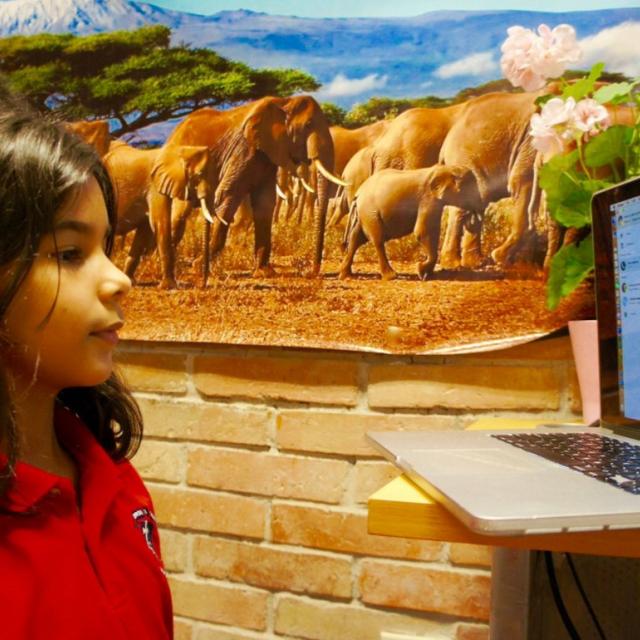 Student on a Virtual Field Trip to The Elephant Sanctuary Student on a Virtual Field Trip to The Elephant Sanctuary in Tennessee