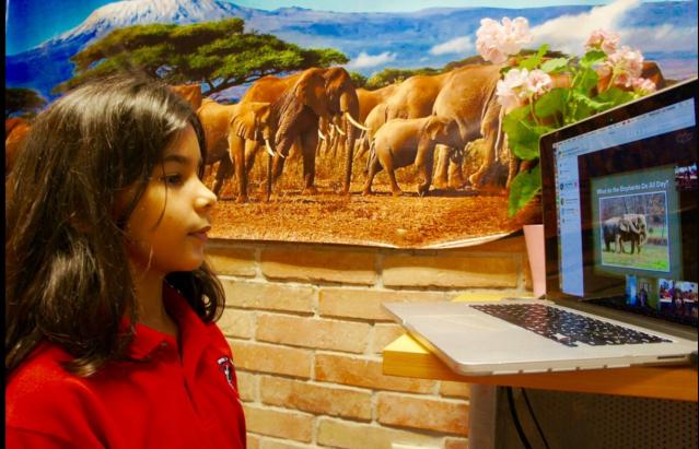Student on a Virtual Field Trip to The Elephant Sanctuary Student on a Virtual Field Trip to The Elephant Sanctuary in Tennessee