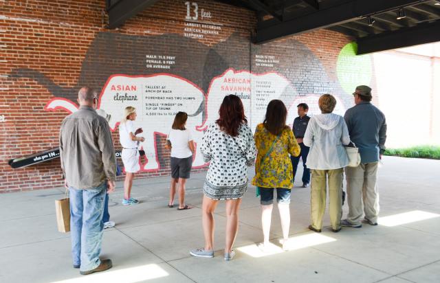 Guests By Elephant Mural in Discovery Center Outdoor Classroom Guests By Mural in Elephant Discovery Center Outdoor Classroom in Hohenwald, Tennessee