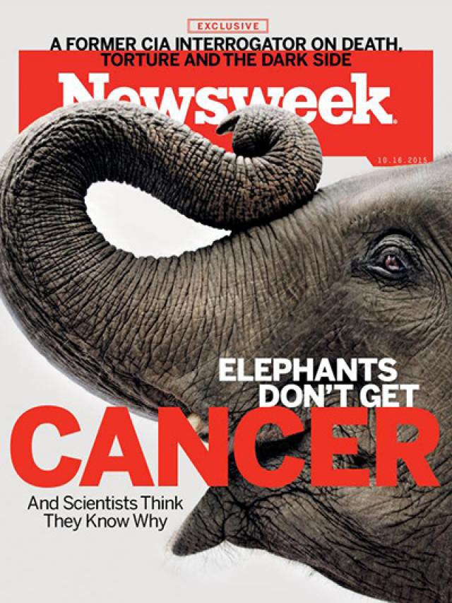 Why Elephants Don't Get Cancer and What That Means for Humans World