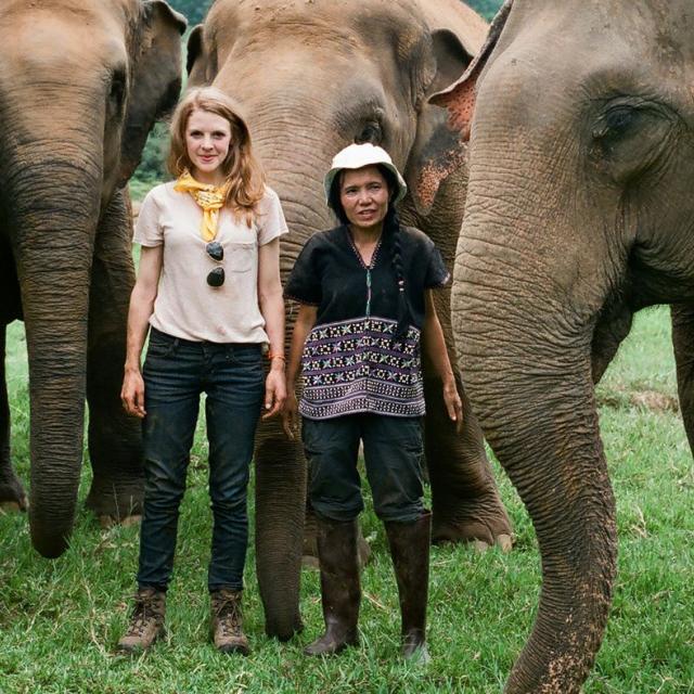 Ashley Bell's documentary 'Love & Bananas: An Elephant Story' connects